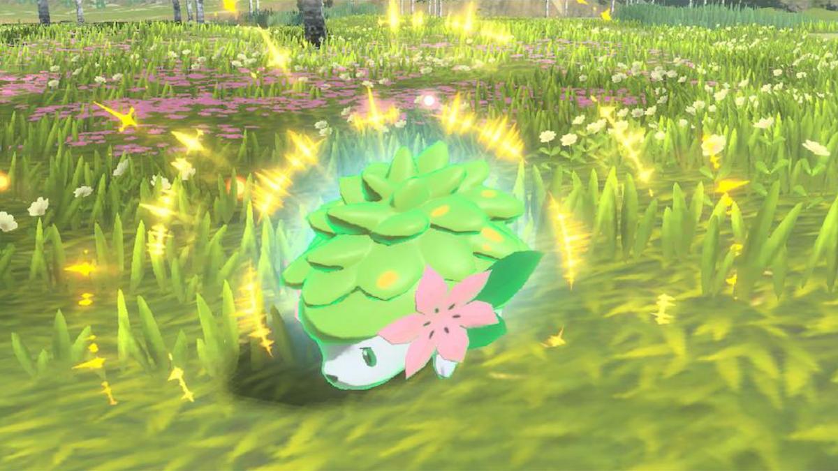 Shaymin in Legends Arceus in the grass